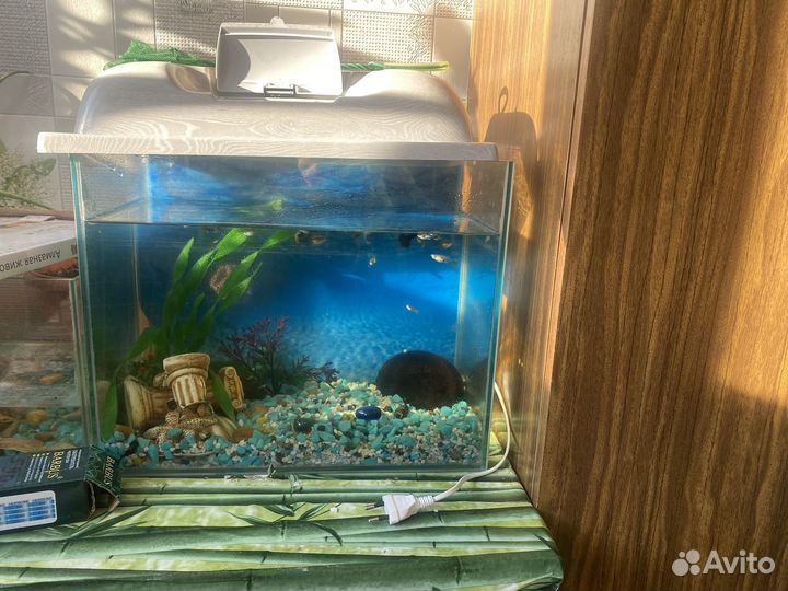 Аквариум