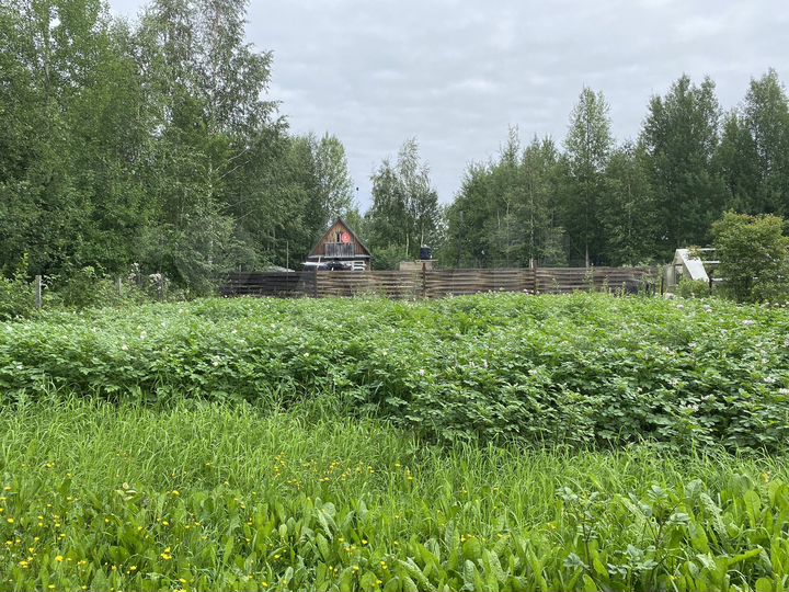 Участок 5 сот. (ИЖС)