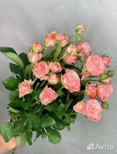 Букет роз для девушки