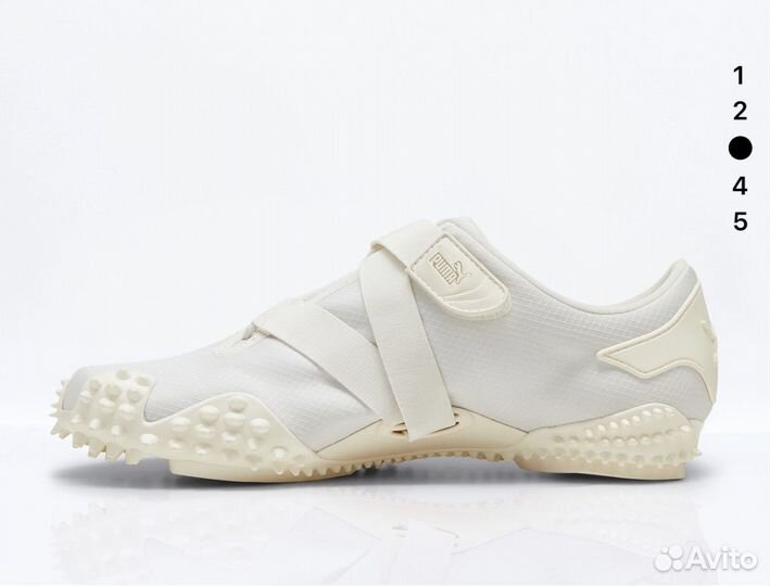 Puma mostro