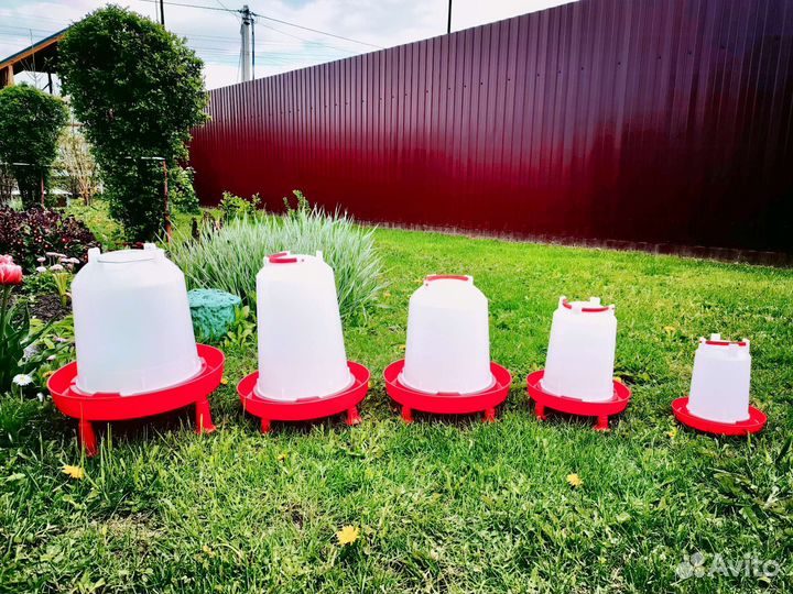 Поилка для кур новая