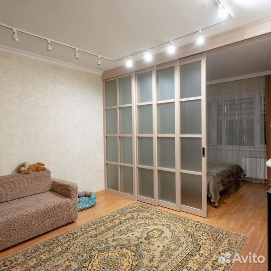 Двери для зонирования. Перегородка межкомнатная