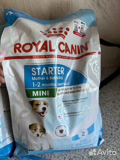 Сухой корм для собак мелких пород