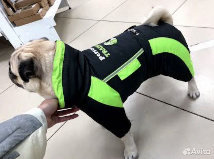 Зимний костюм для собак