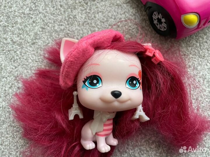 Собака Софи vip pets