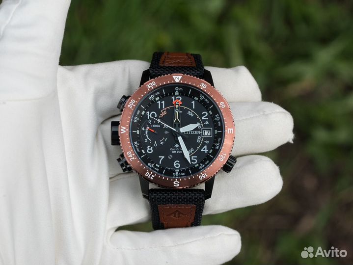Citizen Promaster Altiсhron BN4049-11E