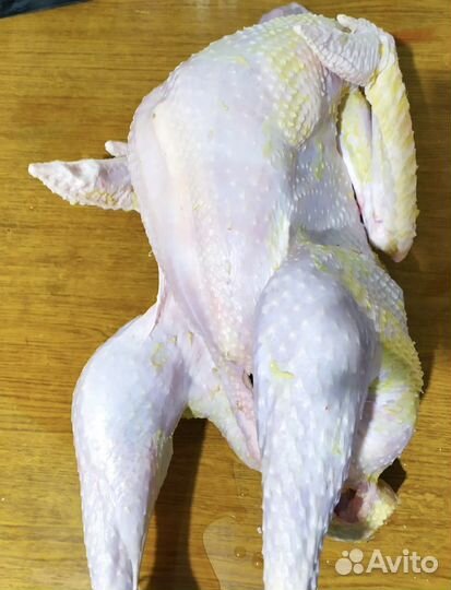 Индюки домашние мясо