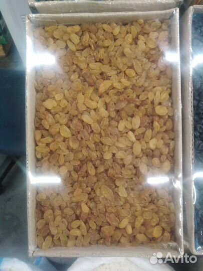 Изюм Джамбо