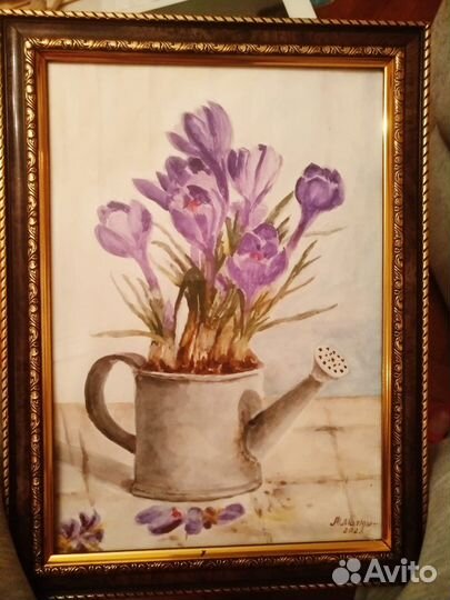 Картина. Коокусы