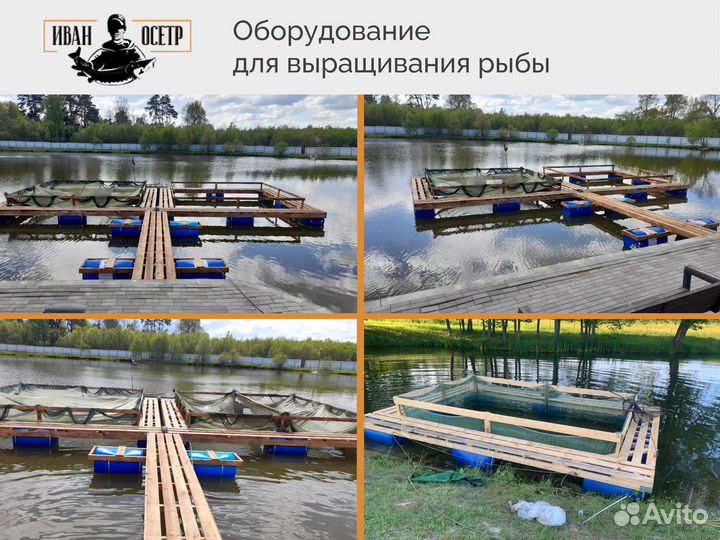 Сетка заградительная