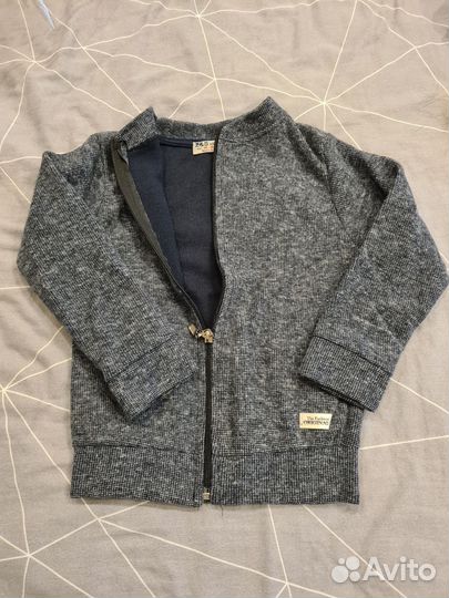 Кардинала мальчика