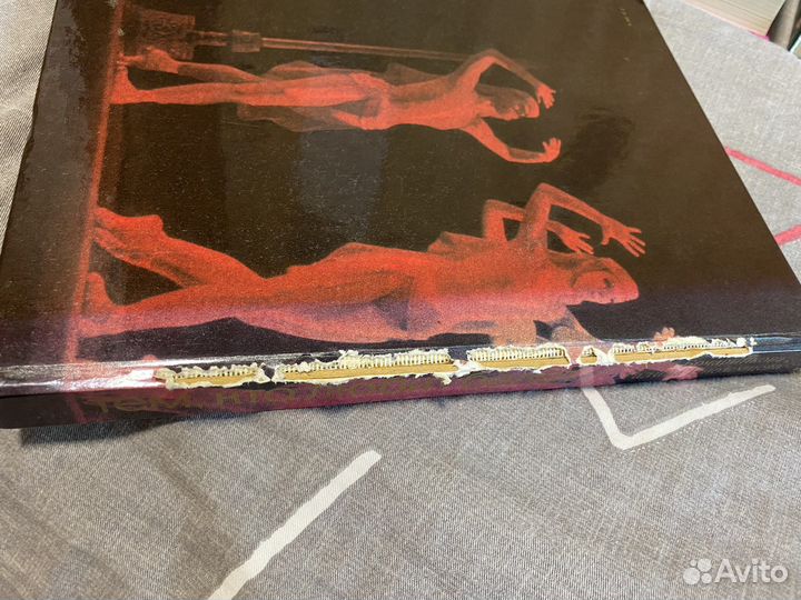 Элис Сиболд «Милые кости»