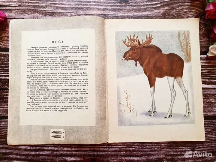 Горлов, Акииушкин. По следам 1969 г