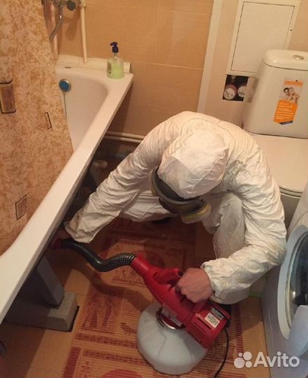 Уничтожение клопов, тараканов