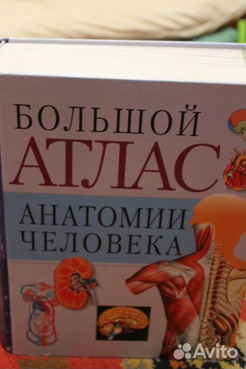 Энциклопедия