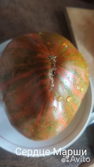 Семена коллекционных сортов томатов