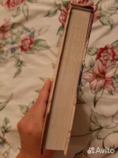 Диппер и Мейбл. Сокровища пиратов времени леонардо