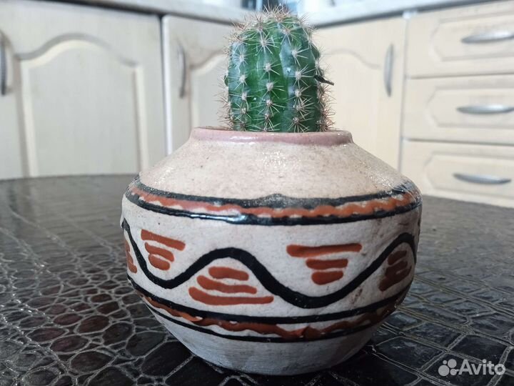 Кактус. Авторская керамика