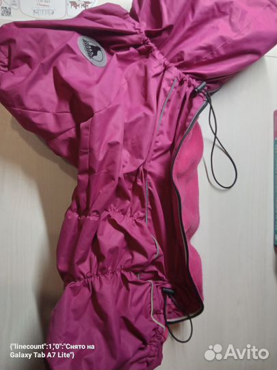 Одежда для собак мелких пород зима