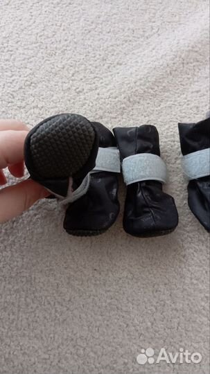 Обувь для собак мелких пород