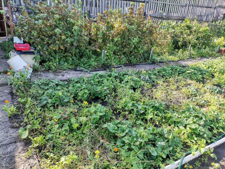 Участок 7,1 сот. (СНТ, ДНП)