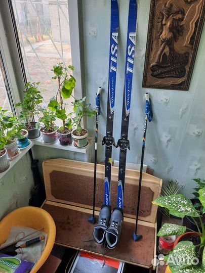 Лыжи беговые