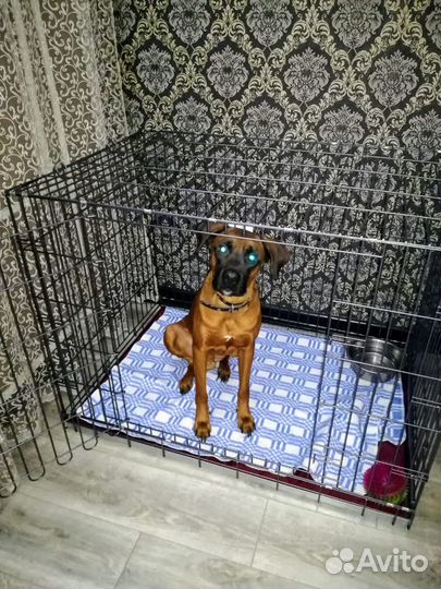 Клетка для собак и кошек Металлические