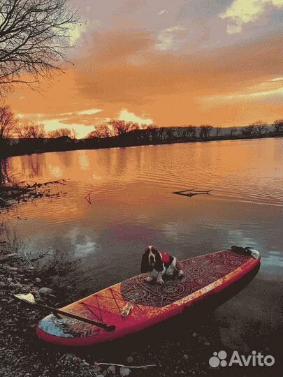 Cап борд / Опт / Розница