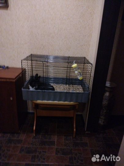 Клетка для кролика или морской свинки. Большая