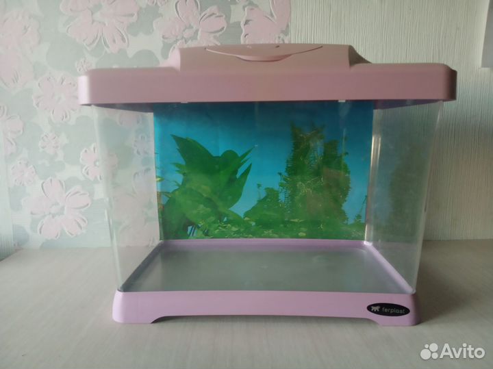 Аквариума