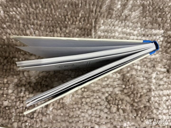 Комикс Сара Андерсен