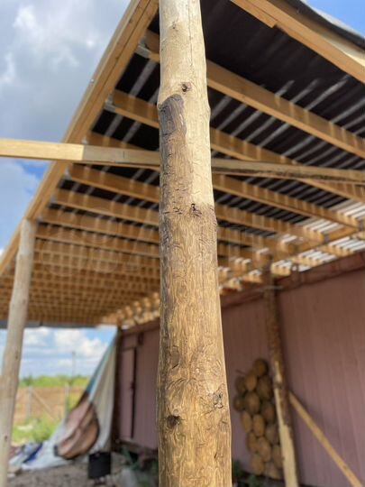 Участок 5,9 сот. (ИЖС)