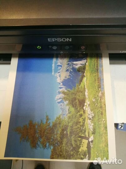 Цветной Мфу Epson L210
