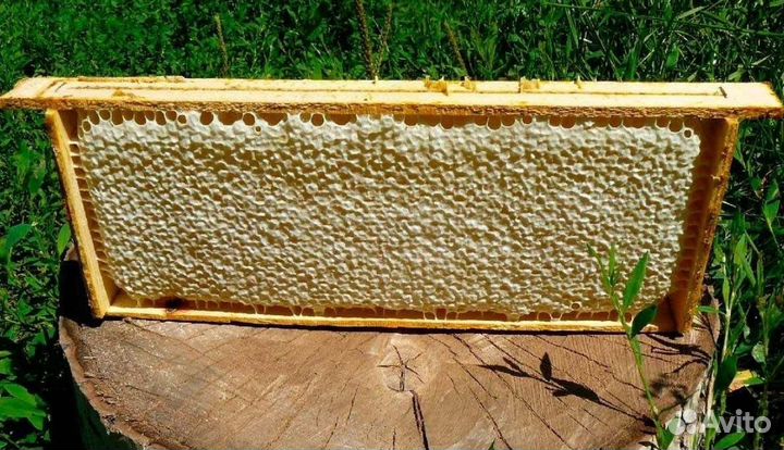 Мед в сотах (мед в рамках)супер подарок