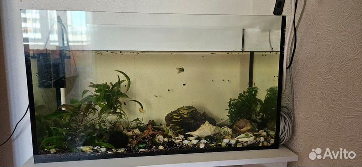 Продам аквариум с рыбками