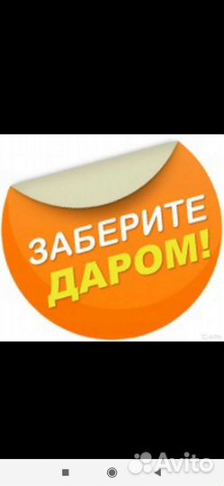 Отдам бесплатно