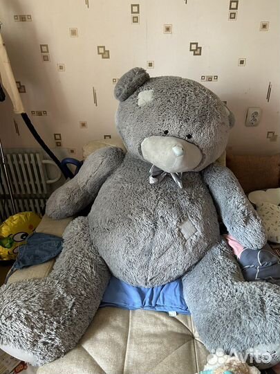 Мишка Тедди