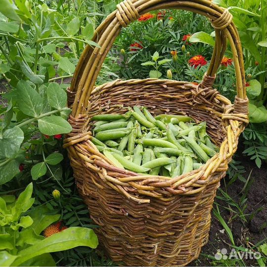 Продам корзины