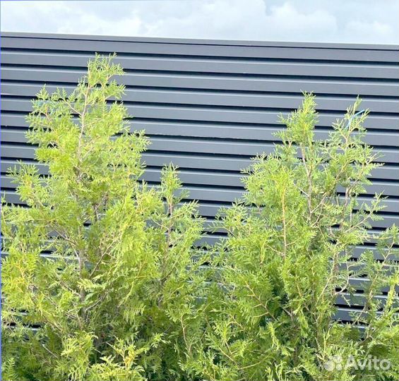 Ламели для забора жалюзи