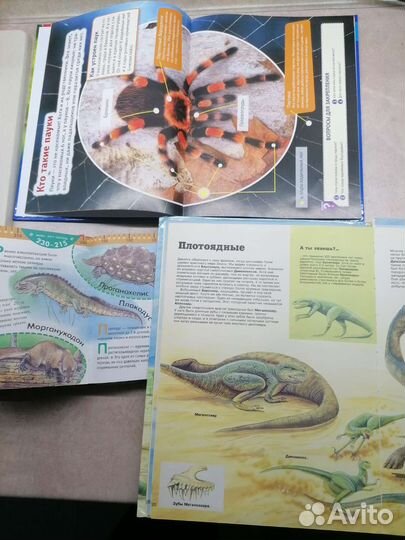 Книги о динозаврах и пауках