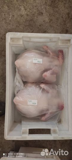 Мясо домашнего бройлера Халяль