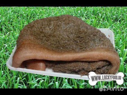 Рубец говяжий