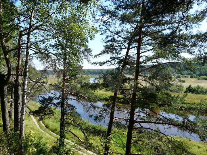 Участок 15 сот. (ИЖС)