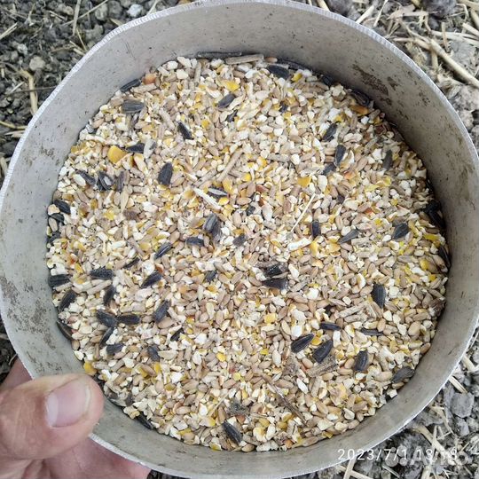 Комбикорм для кур несушек