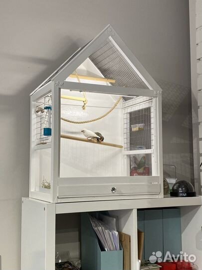 Клетка витрина