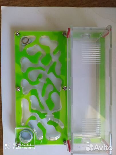 Муравьиная ферма бу