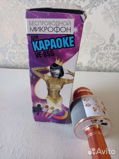 Колонка с микрофоном