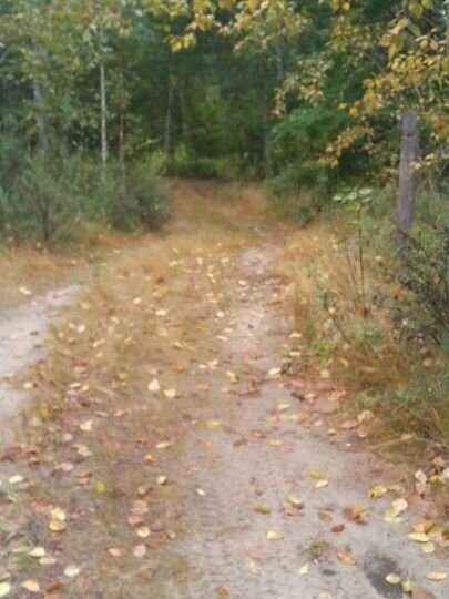 Участок 10 сот. (СНТ, ДНП)