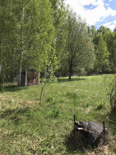 Участок 8 сот. (СНТ, ДНП)