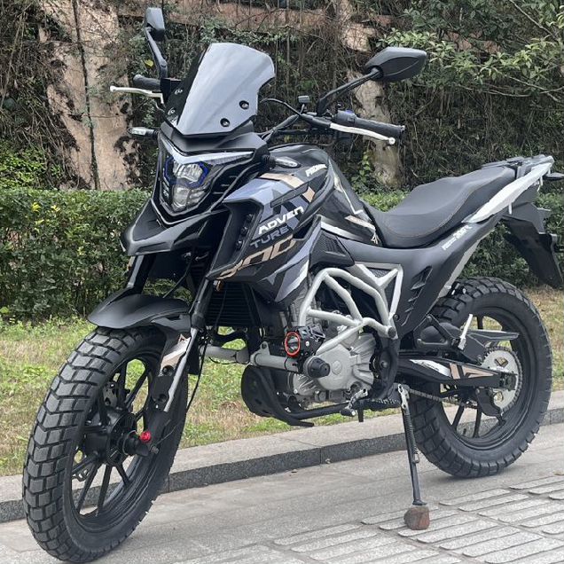 PROMAX ADVENTURE 300 PRO (CBS300), 2026